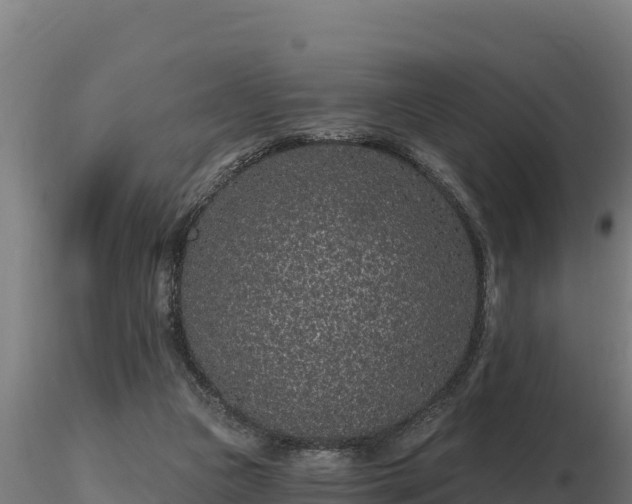 X0000116770161200912241211