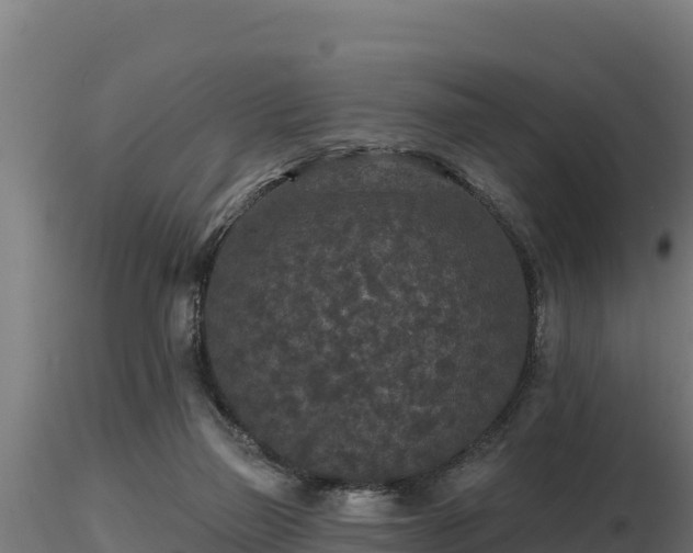 X0000116770165200912241211