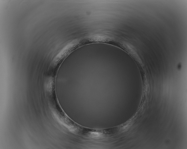 X0000116770167200912241211
