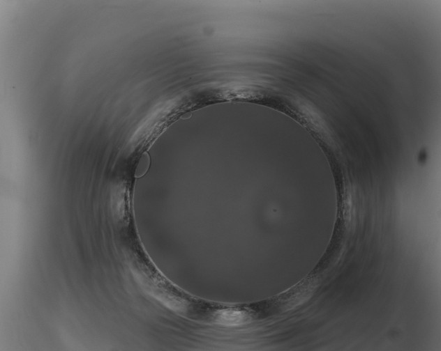 X0000116770169200912241211