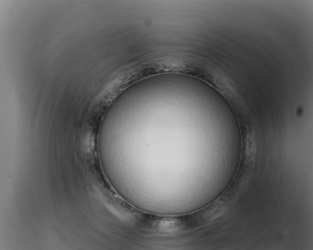 X0000116770173200912241211