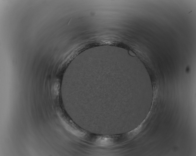 X0000116770174200912241211