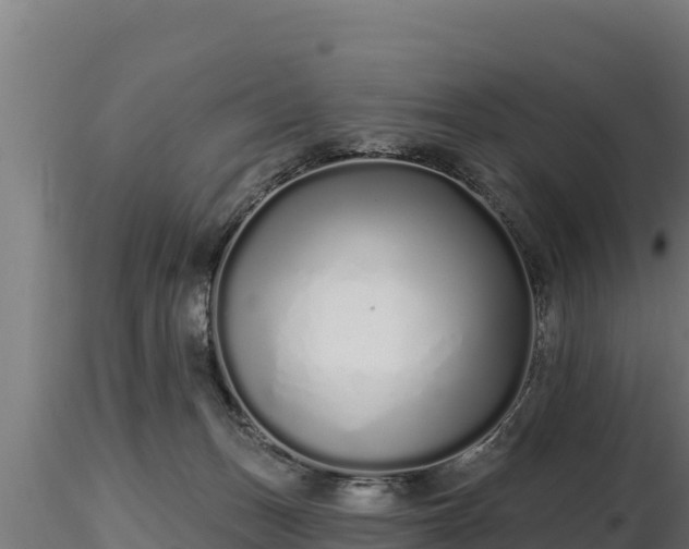 X0000116770175200912241211
