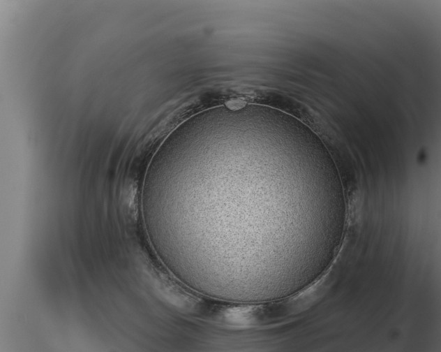 X0000116770178200912241211