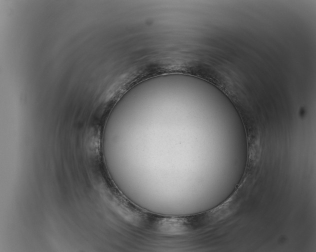 X0000116770179200912241211