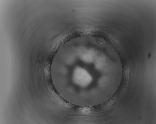 X0000116770181200912241211