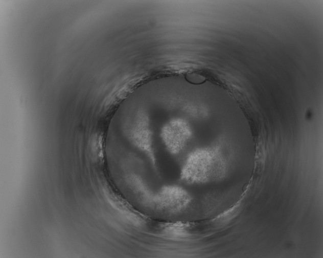 X0000116770182200912241211