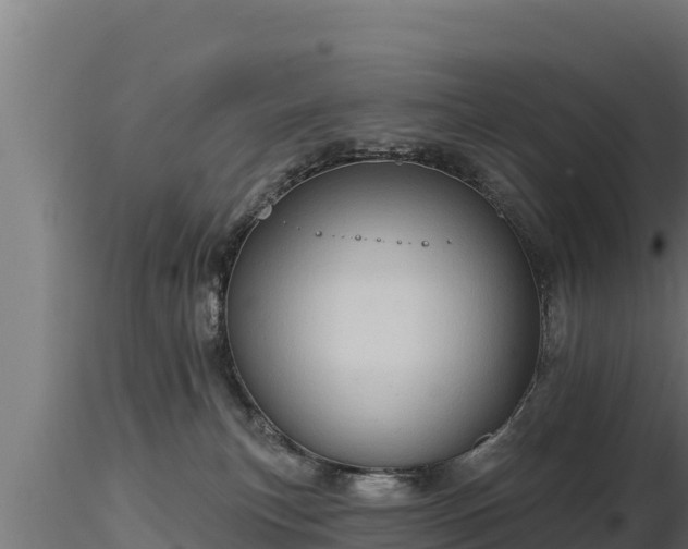 X0000116770183200912241211