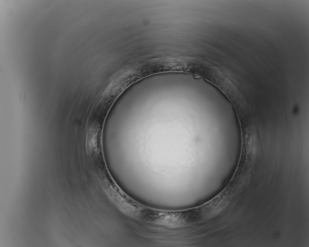 X0000116770185200912241211