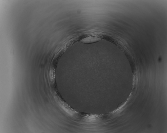 X0000116770186200912241211