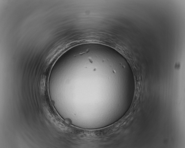 X0000116770194200912241211