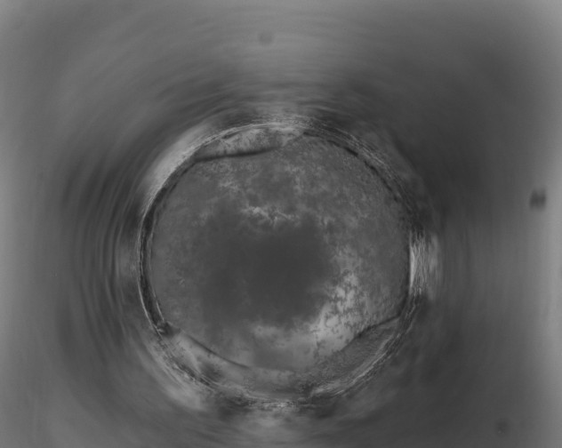 X0000116770195200912241211