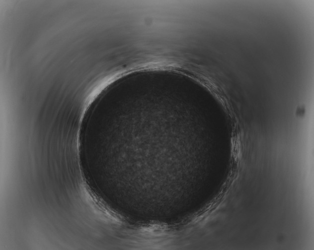 X0000116770196200912241211