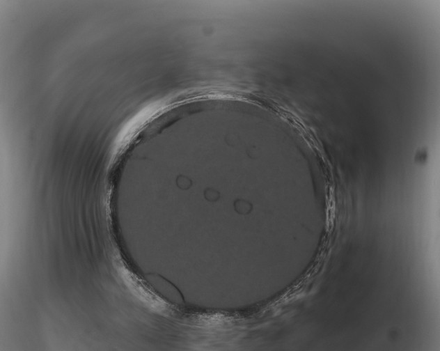 X0000116770197200912241211