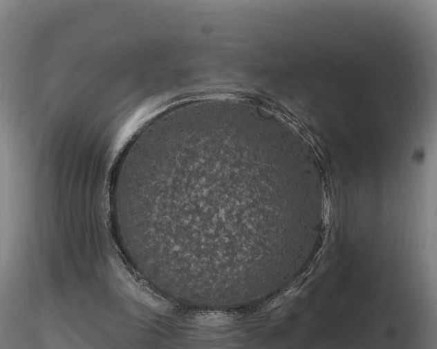 X0000116770198200912241211