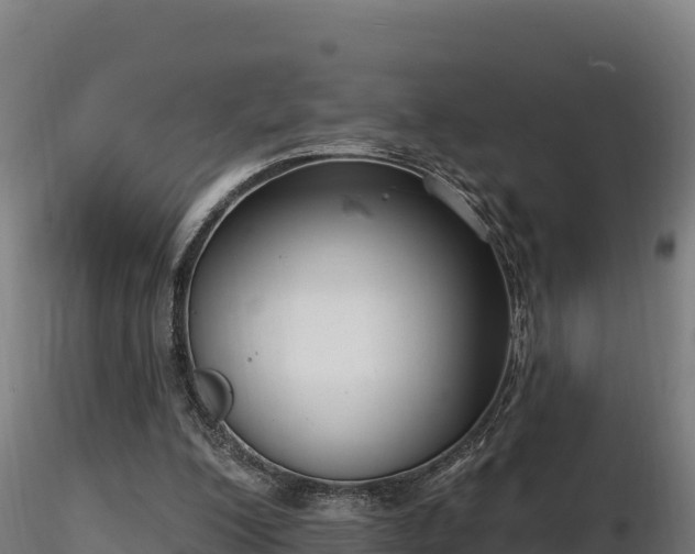 X0000116770200200912241211