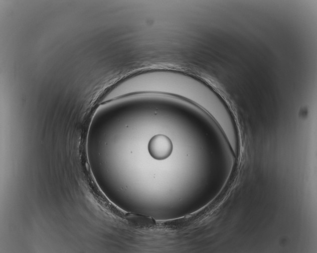 X0000116770201200912241211