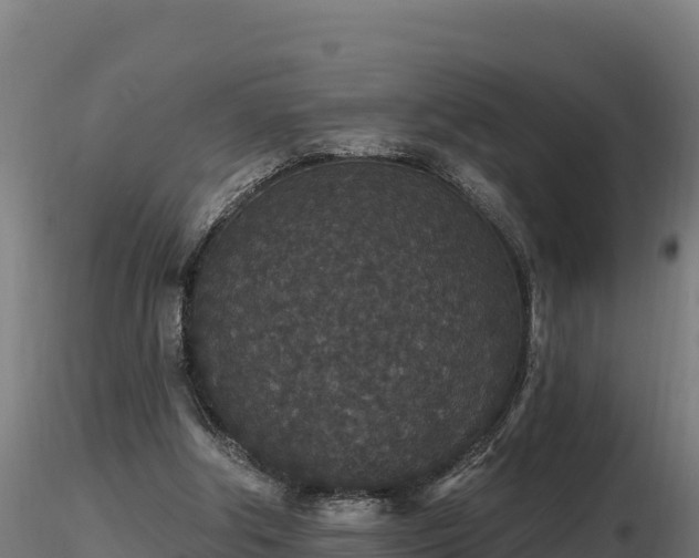 X0000116770202200912241211
