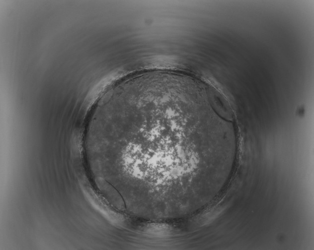 X0000116770203200912241211