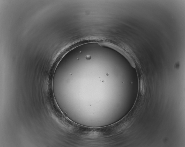 X0000116770204200912241210