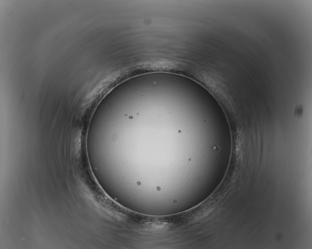 X0000116770206200912241210
