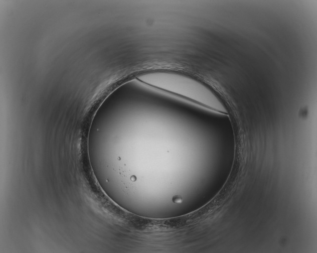 X0000116770207200912241210