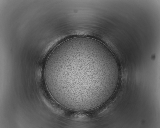 X0000116770208200912241210