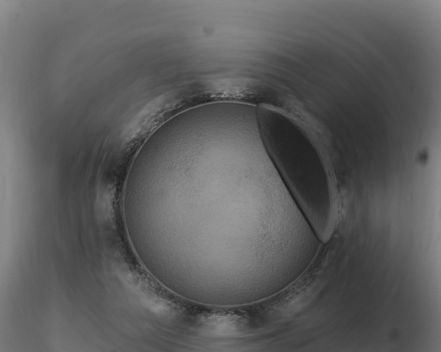 X0000116770209200912241210