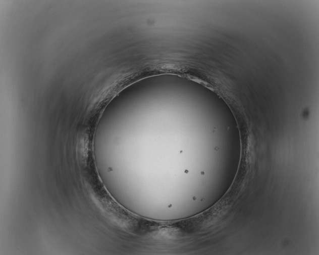 X0000116770210200912241210