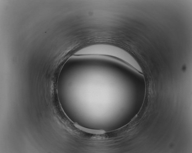 X0000116770211200912241210