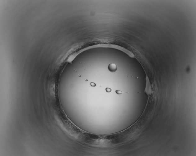 X0000116770212200912241210