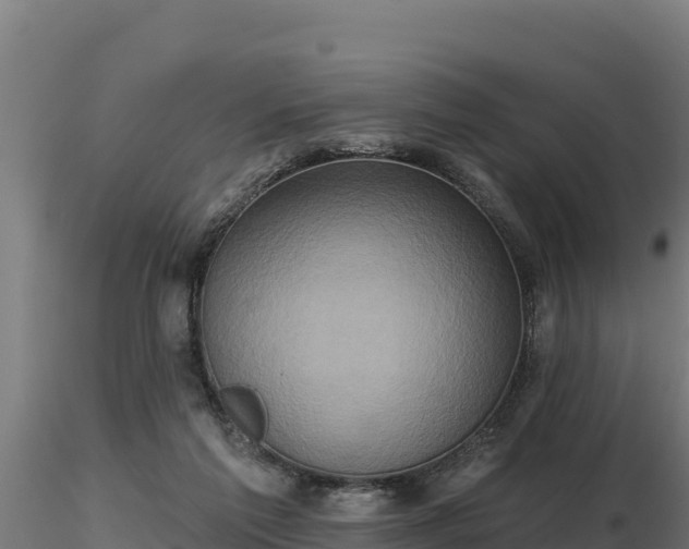X0000116770213200912241210