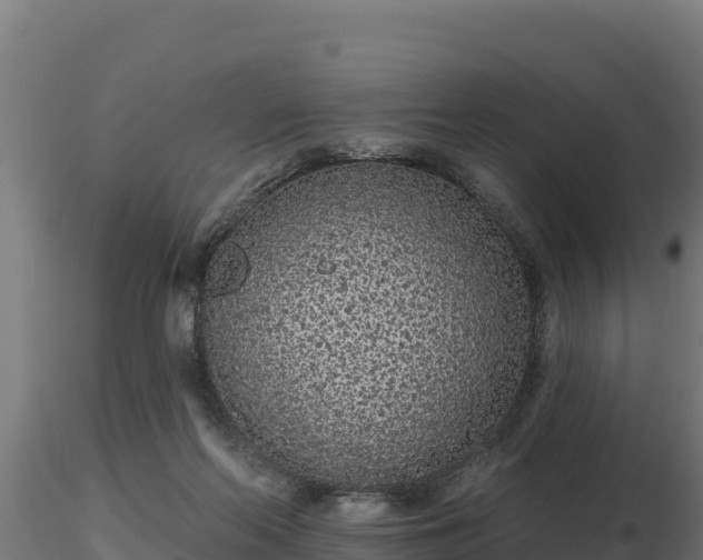 X0000116770214200912241210