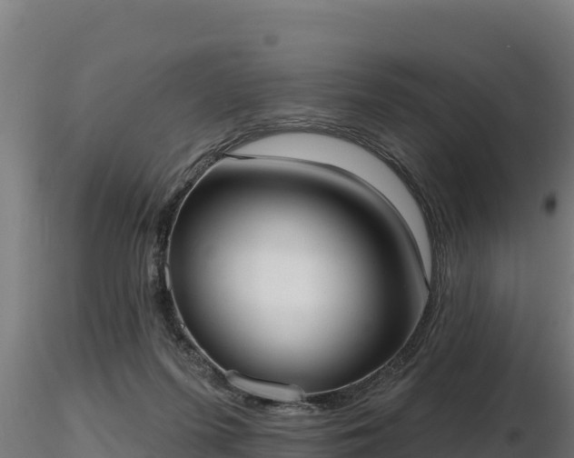 X0000116770215200912241210