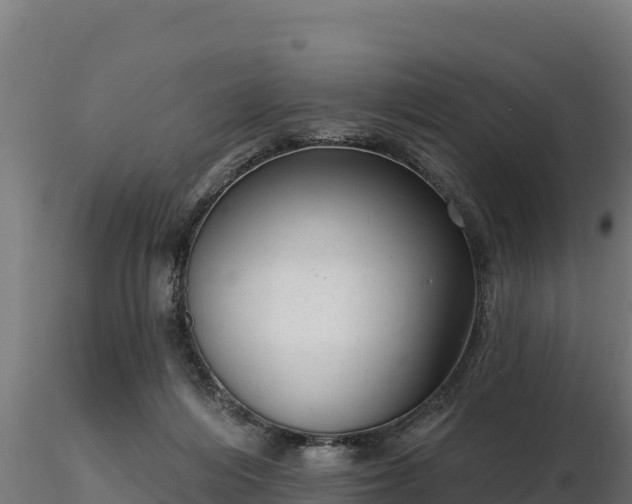 X0000116770216200912241210