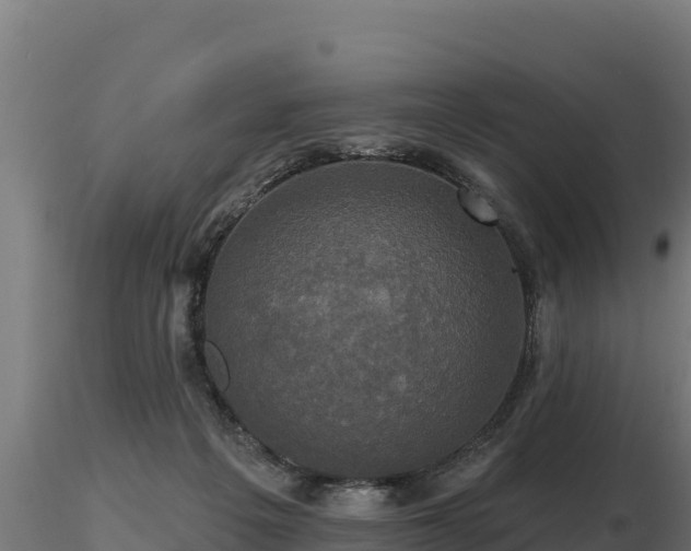 X0000116770217200912241210