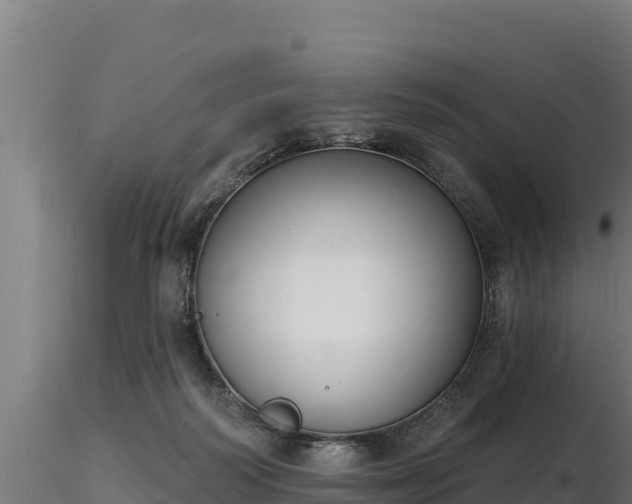 X0000116770218200912241210