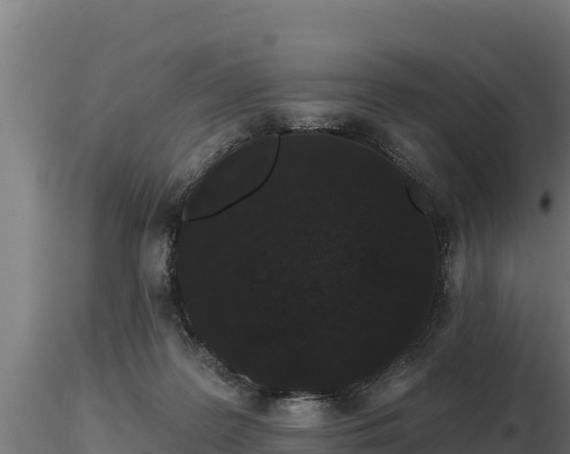 X0000116770219200912241210