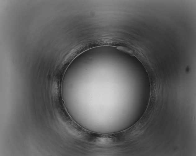 X0000116770220200912241210
