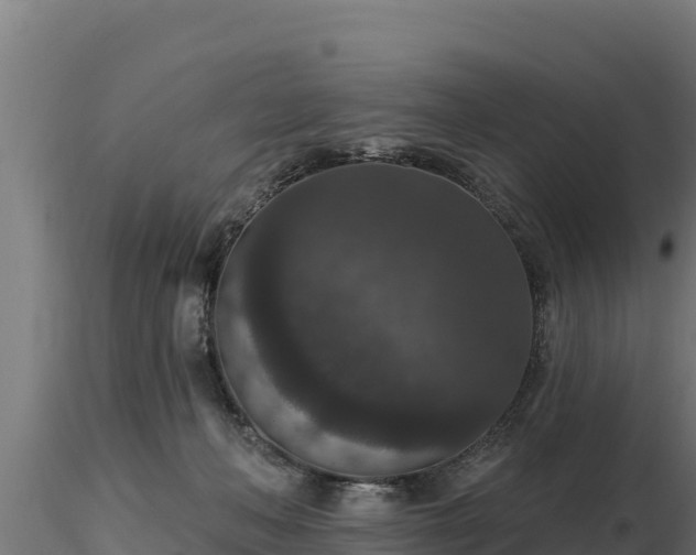X0000116770222200912241210