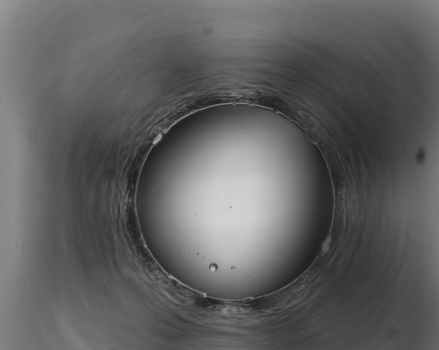X0000116770223200912241210