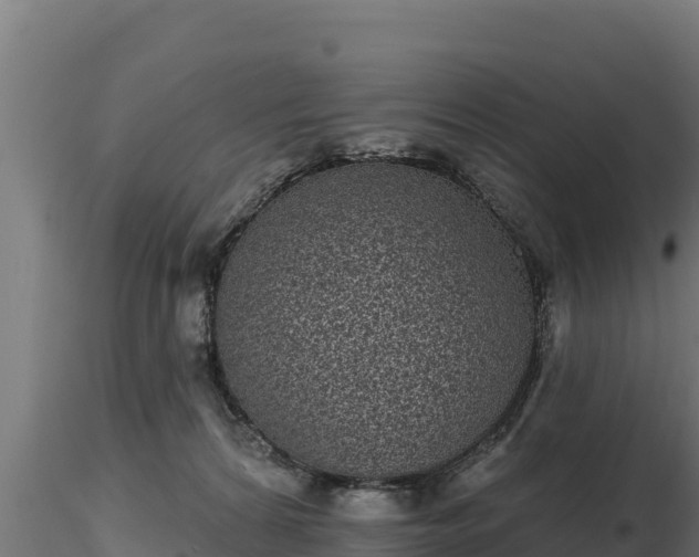X0000116770224200912241210