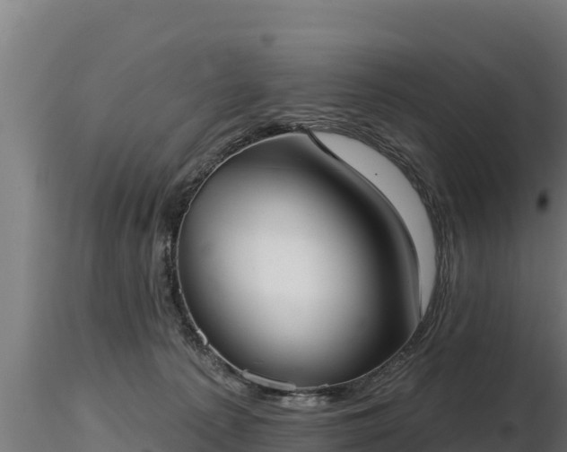 X0000116770225200912241210