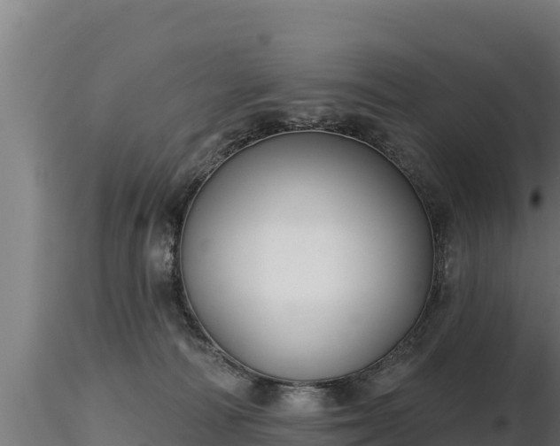 X0000116770226200912241210