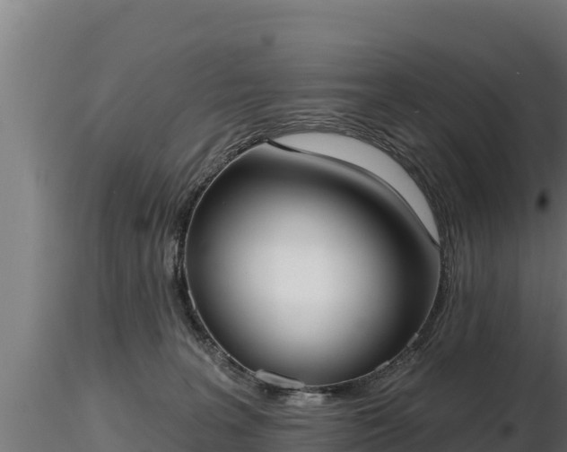 X0000116770227200912241210