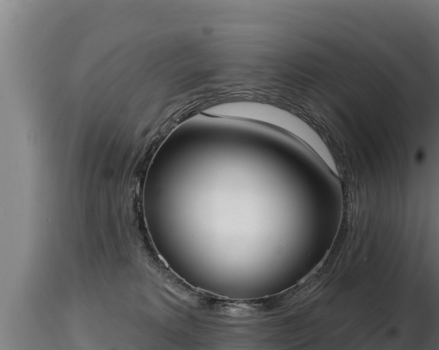 X0000116770229200912241210