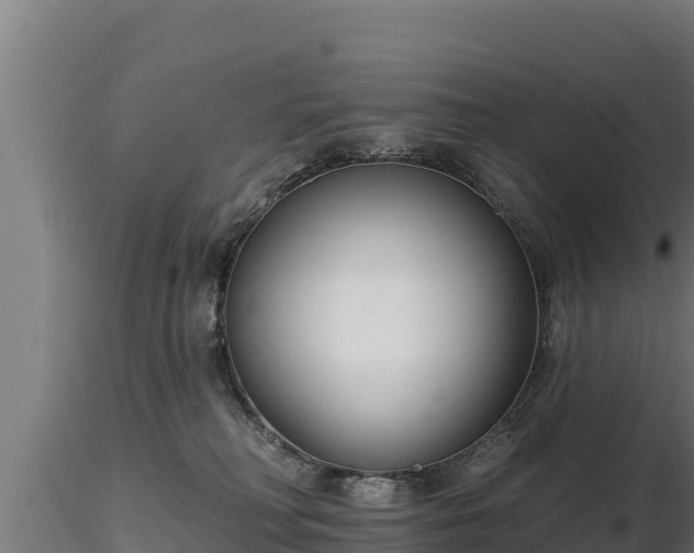 X0000116770230200912241210