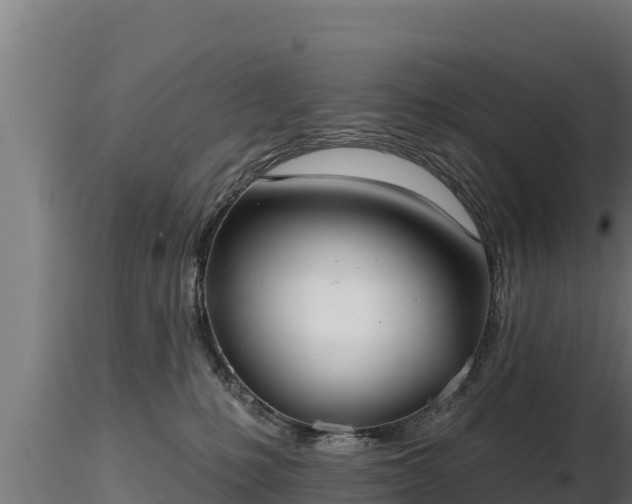 X0000116770231200912241210