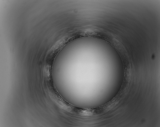 X0000116770232200912241210