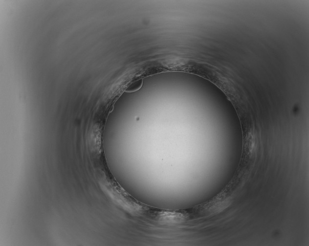 X0000116770234200912241210